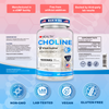 First Liquid Choline Supplement 500mg with VitaCholine®